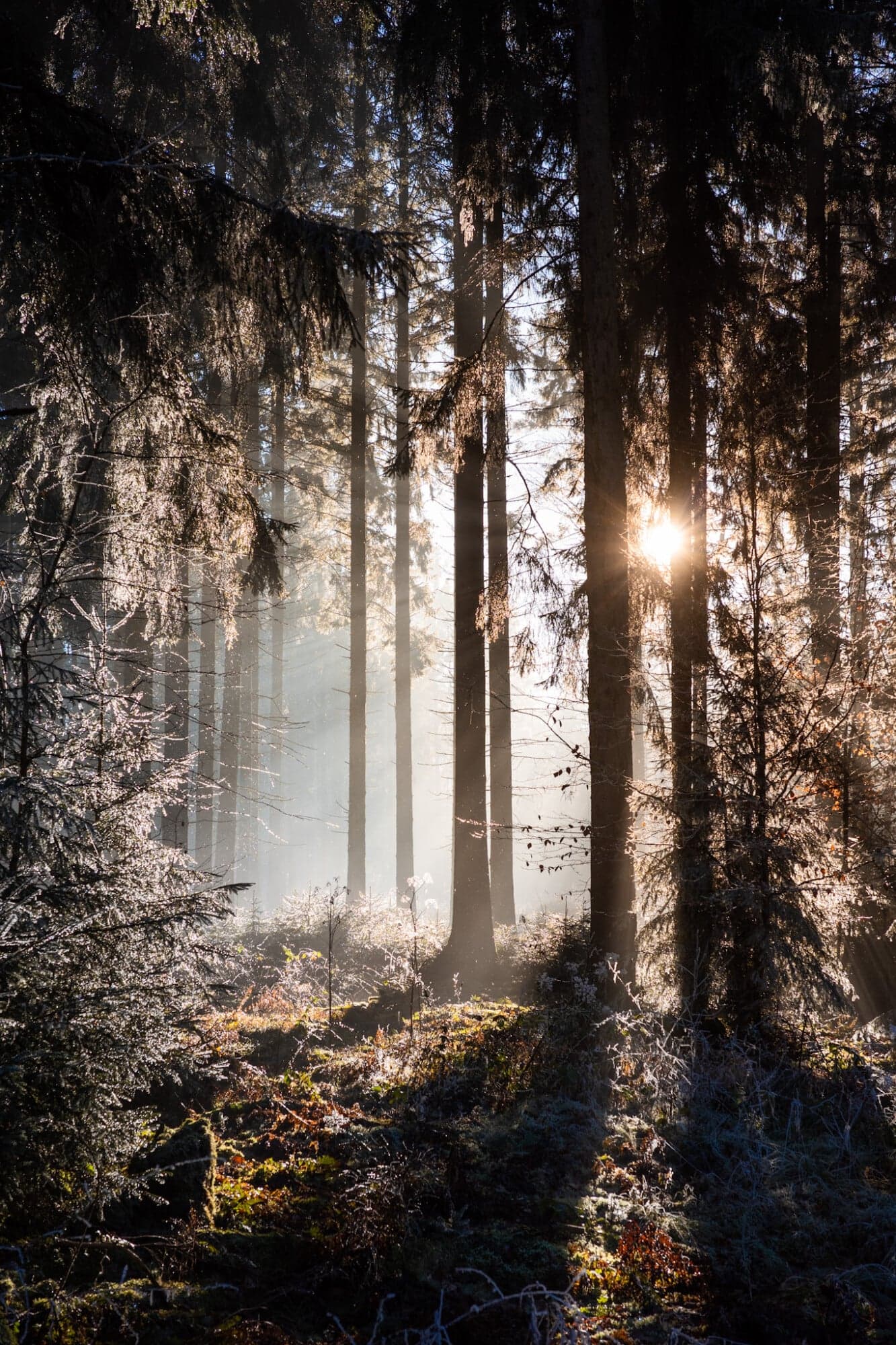 aktuelle eigene Fotografie (Auswahl Stefan), echtes Foto