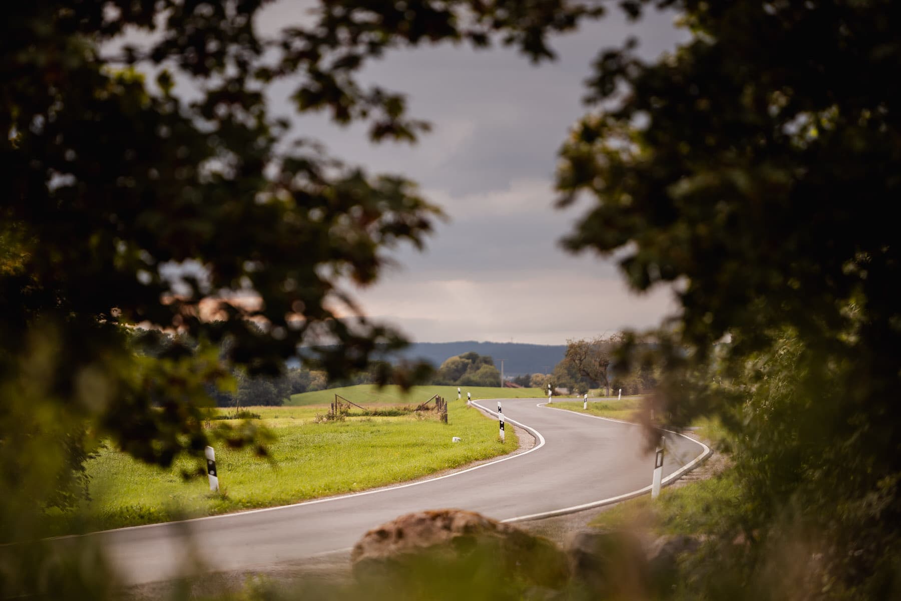 Eine geschwungene Landstraße führt durch eine grüne Wiesenlandschaft, eingerahmt von unscharfen Baumzweigen im Vordergrund.