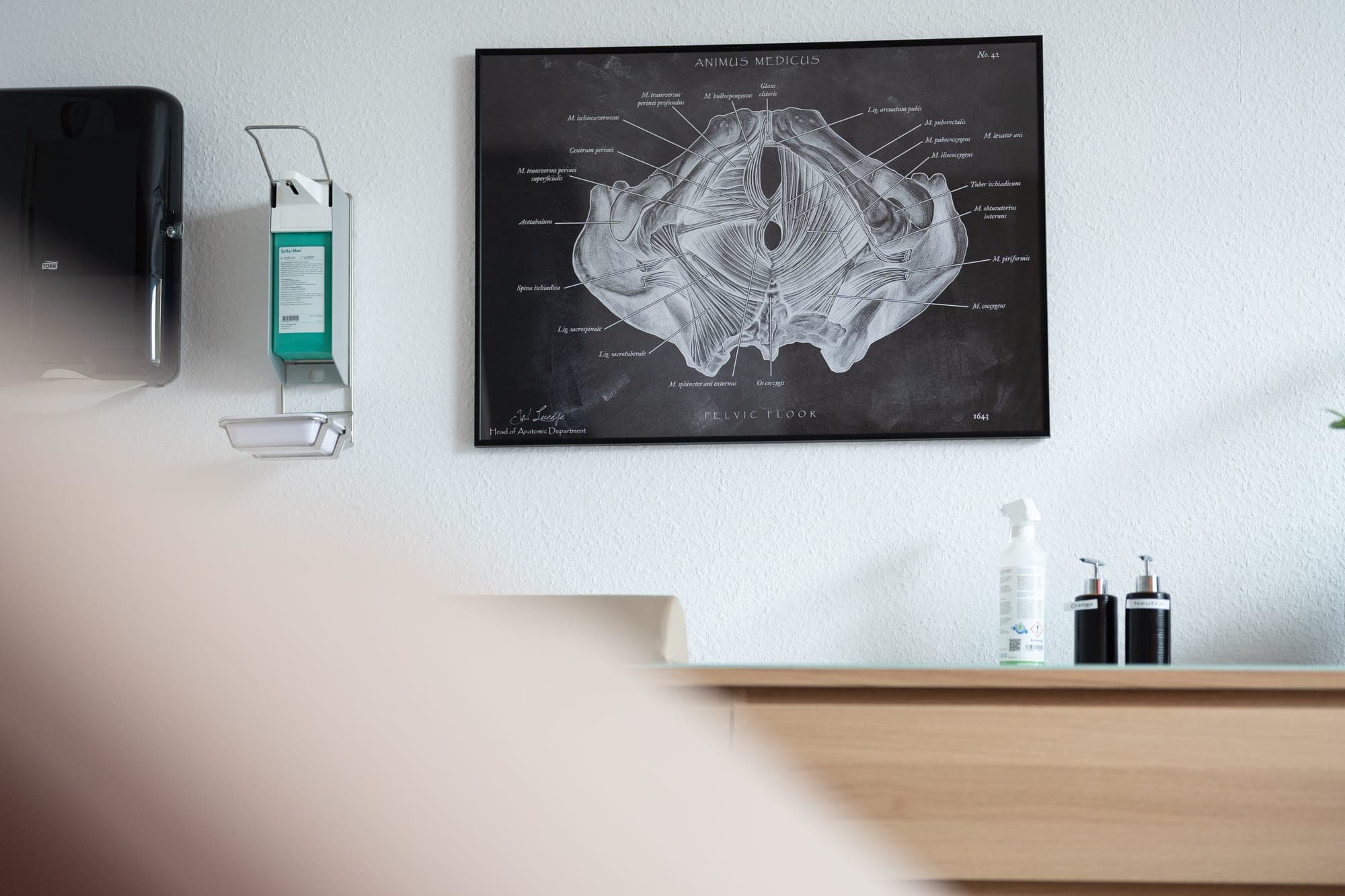 Ein anatomisches Poster hängt an einer weißen Wand in einem Behandlungsraum, daneben befinden sich ein Desinfektionsmittelspender und kleine Flaschen auf einem Holzmöbel.