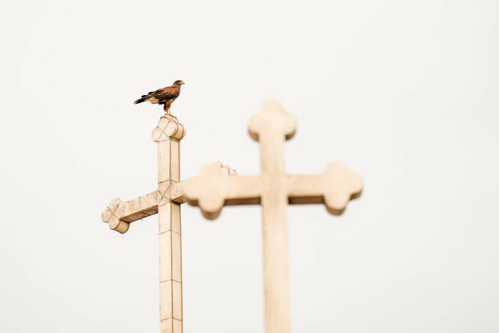 Ein Greifvogel sitzt auf der Spitze eines steinernen Kreuzes vor einem hellen, wolkenlosen Himmel, während ein zweites, unscharfes Kreuz im Vordergrund zu sehen ist.