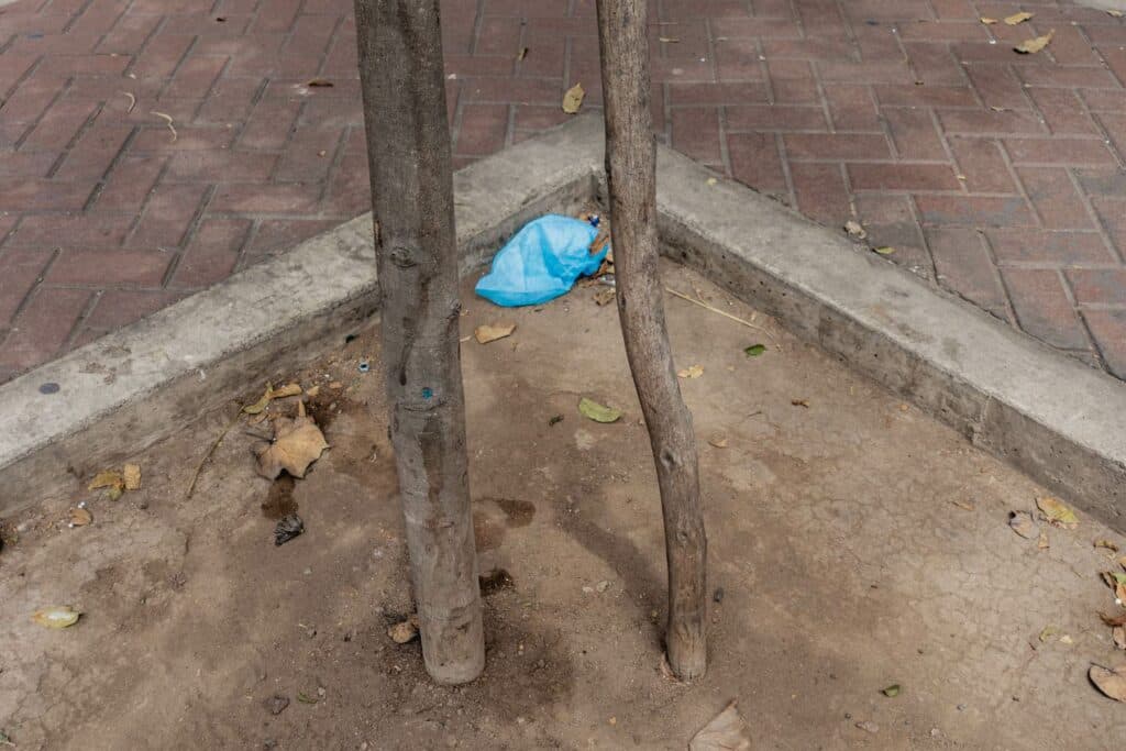 Zwei Baumstämme stehen in einem kleinen, mit Erde gefüllten Beet, das von grauen Pflastersteinen eingefasst ist, wobei eine blaue Plastiktüte auf dem Boden liegt.
