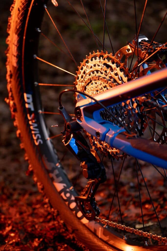 Detailansicht der Kassette und des Schaltwerks eines Mountainbikes im warmen Licht.
