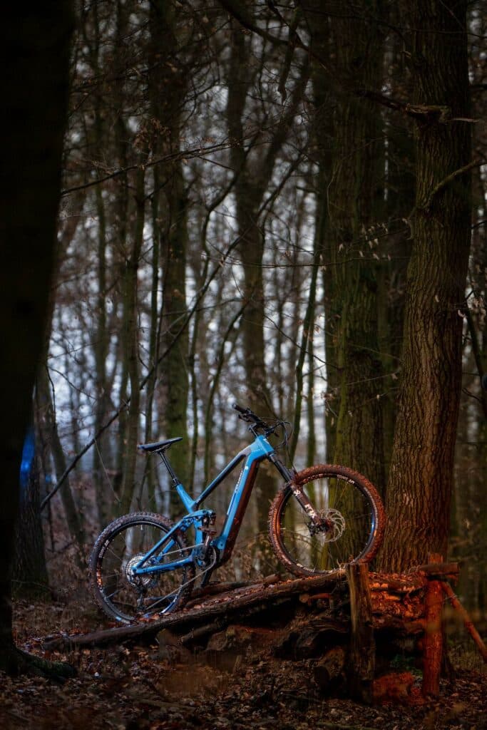Ein blaues Mountainbike steht auf einem hölzernen Steg in einem dichten, dunklen Wald.