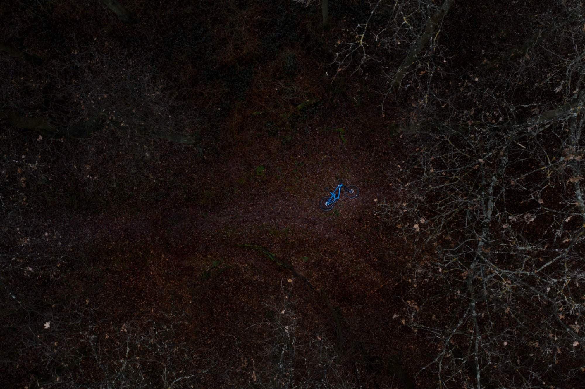 Eine einsame, blau leuchtende Person steht auf einem dunklen Waldweg, aufgenommen aus großer Höhe.