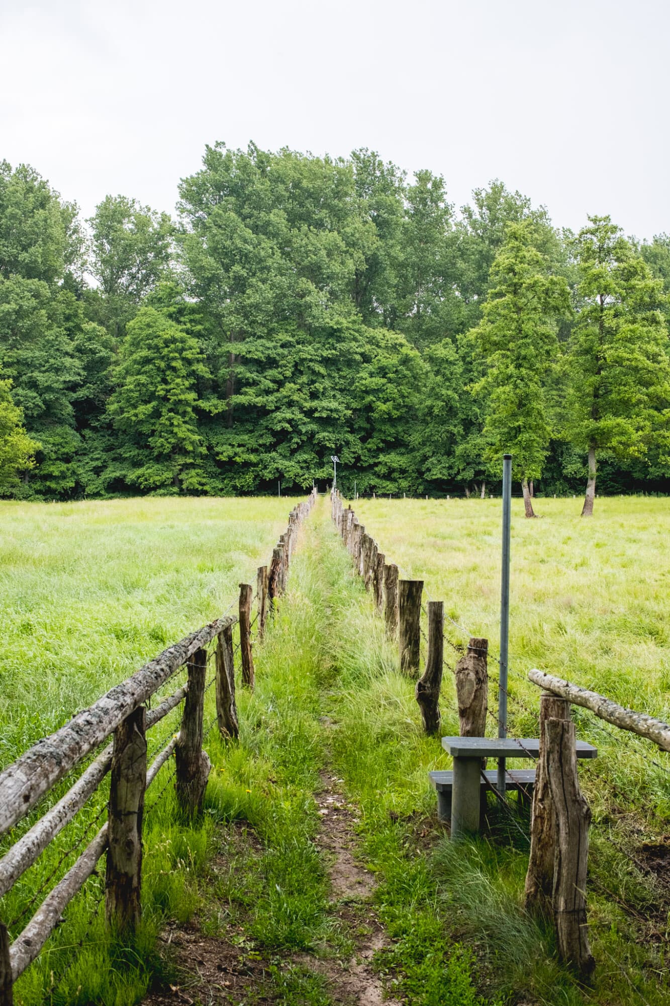 Ein schmaler, von einem Holzzaun begrenzter Pfad führt durch eine grüne Wiese auf eine Waldkante zu.