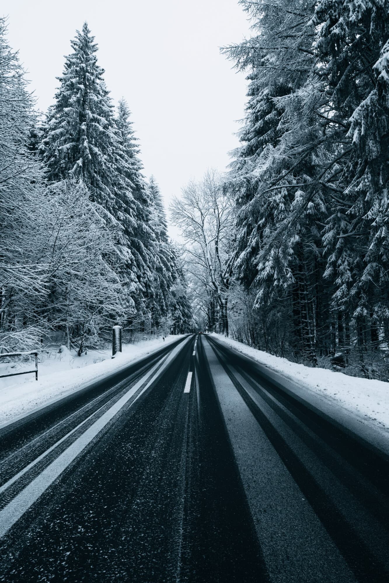 Eine asphaltierte Straße führt mittig durch einen tief verschneiten Nadelwald, wobei die Bäume links und rechts mit Schnee bedeckt sind.