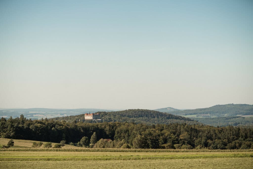 Eine weite Landschaft mit einer Wiese im Vordergrund, einem Waldstreifen in der Mitte und einem kleinen Schloss auf einem bewaldeten Hügel vor einem klaren, hellen Himmel.