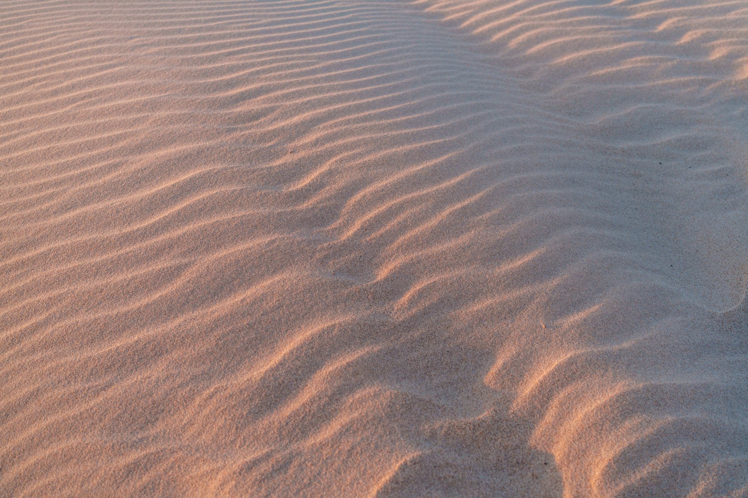 Strandmorgen in Monte Gordo, flaches Seitenlicht über Dünen und Sand, ruhige Stimmung, weiter Bildausschnitt, möglichst eines der Bilder von genau diesem letzten Morgen