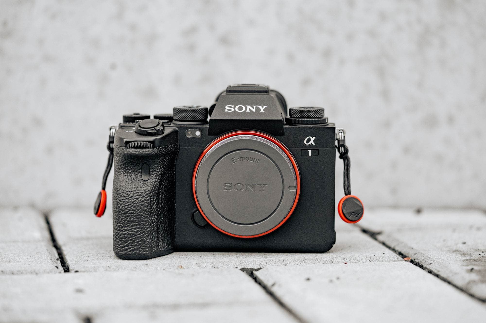 7 Tage mit der Sony Alpha 1