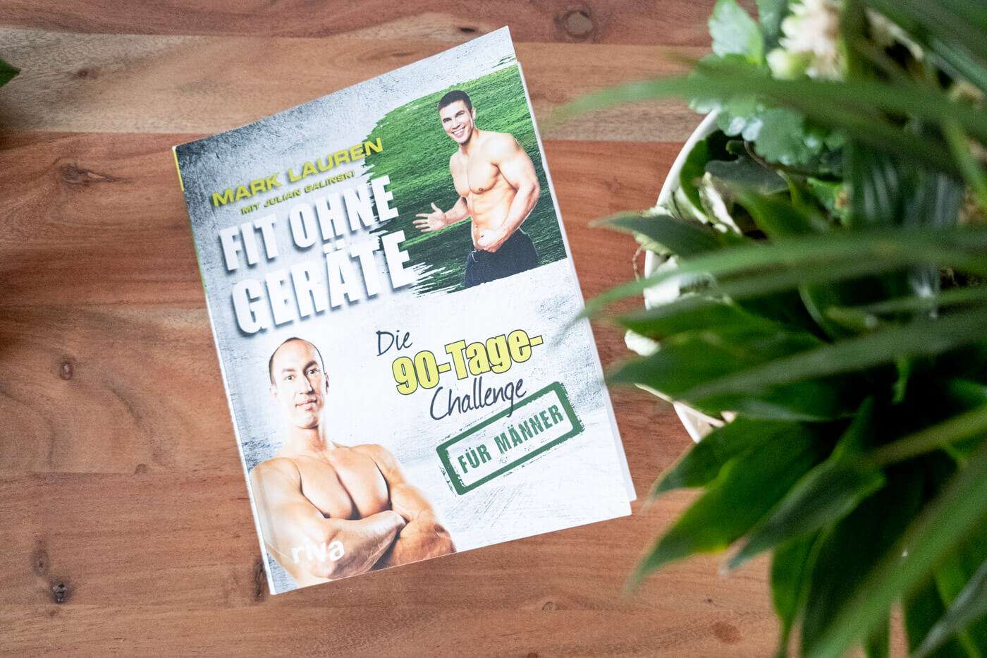 90 tage challenge 02