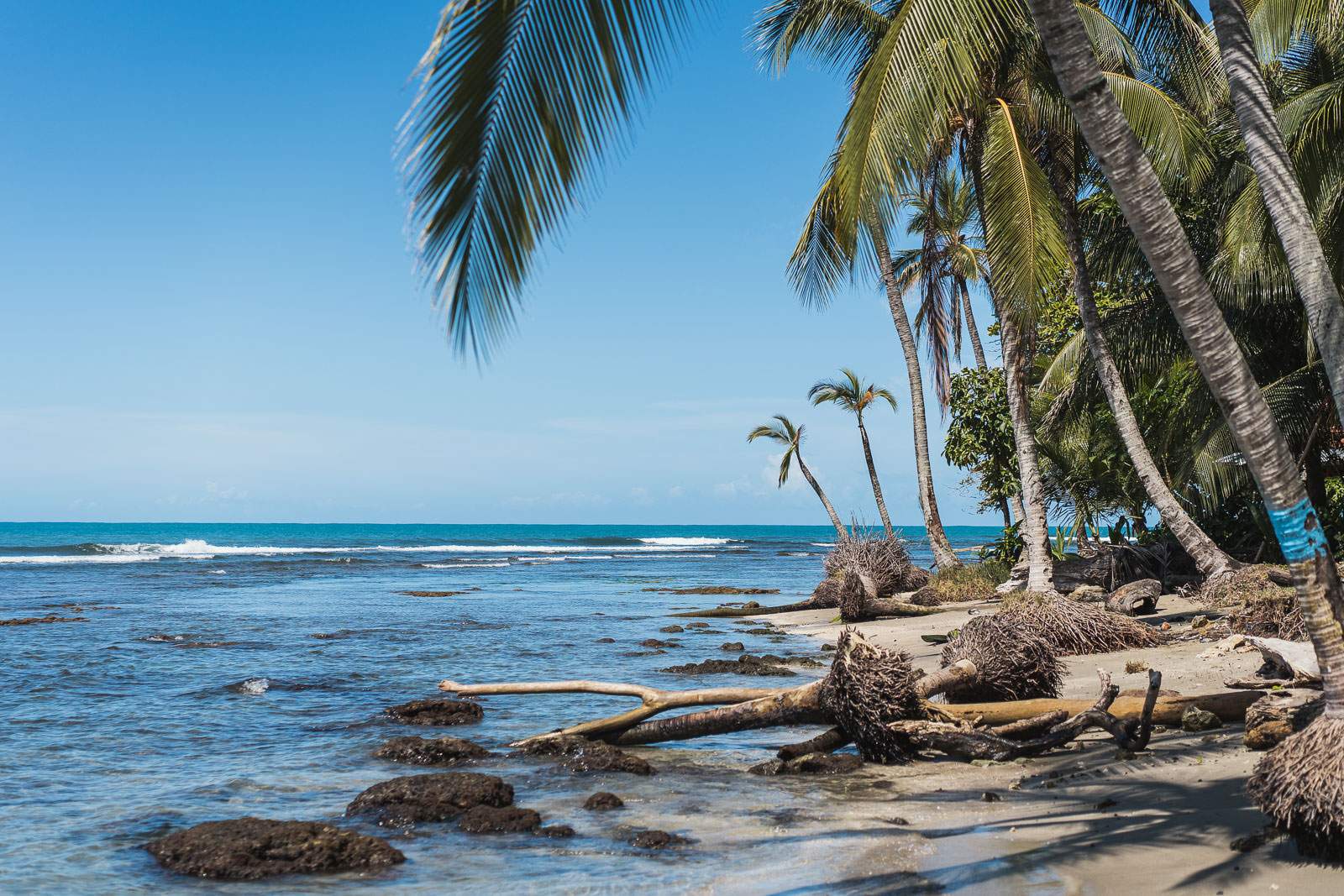 costa rica fotografie 101