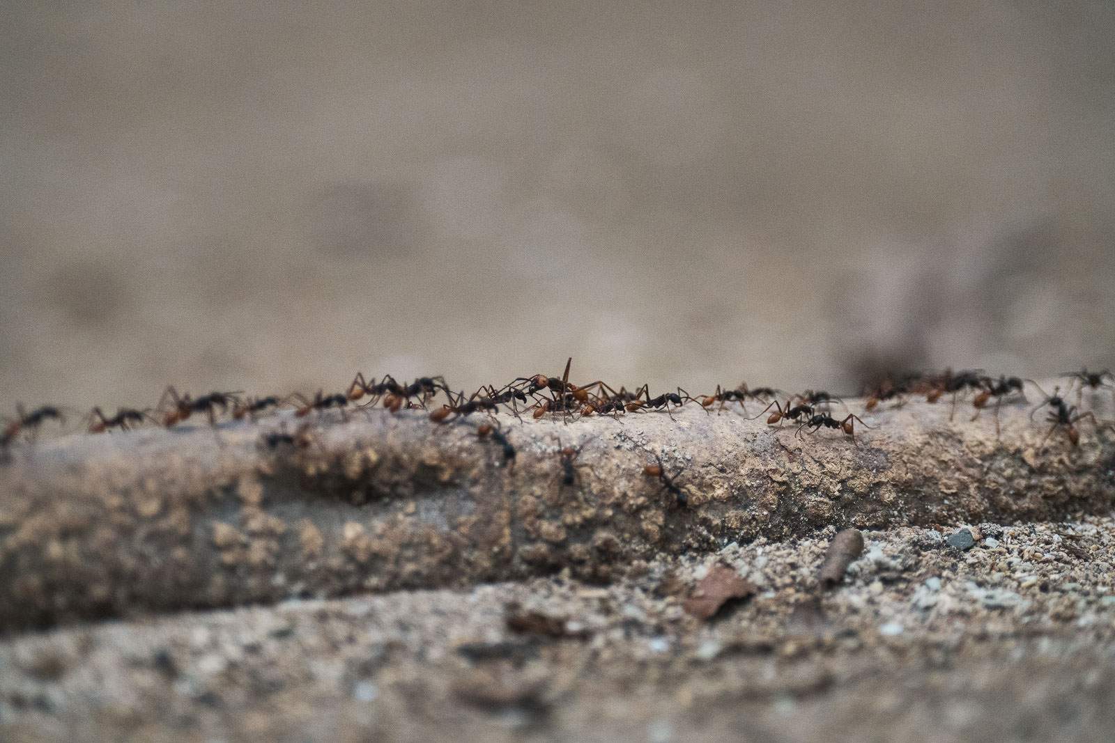 costa rica fotografie 117