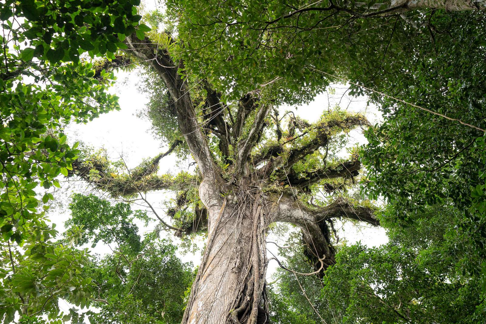 costa rica fotografie 37
