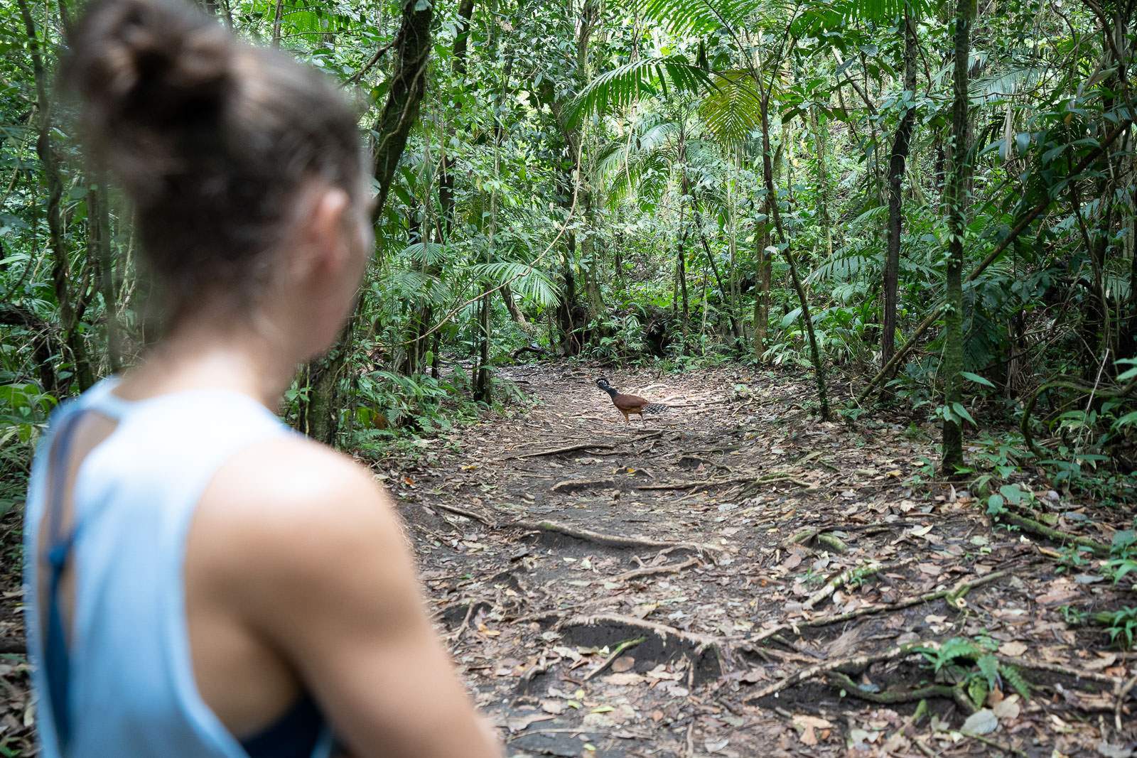 costa rica fotografie 39