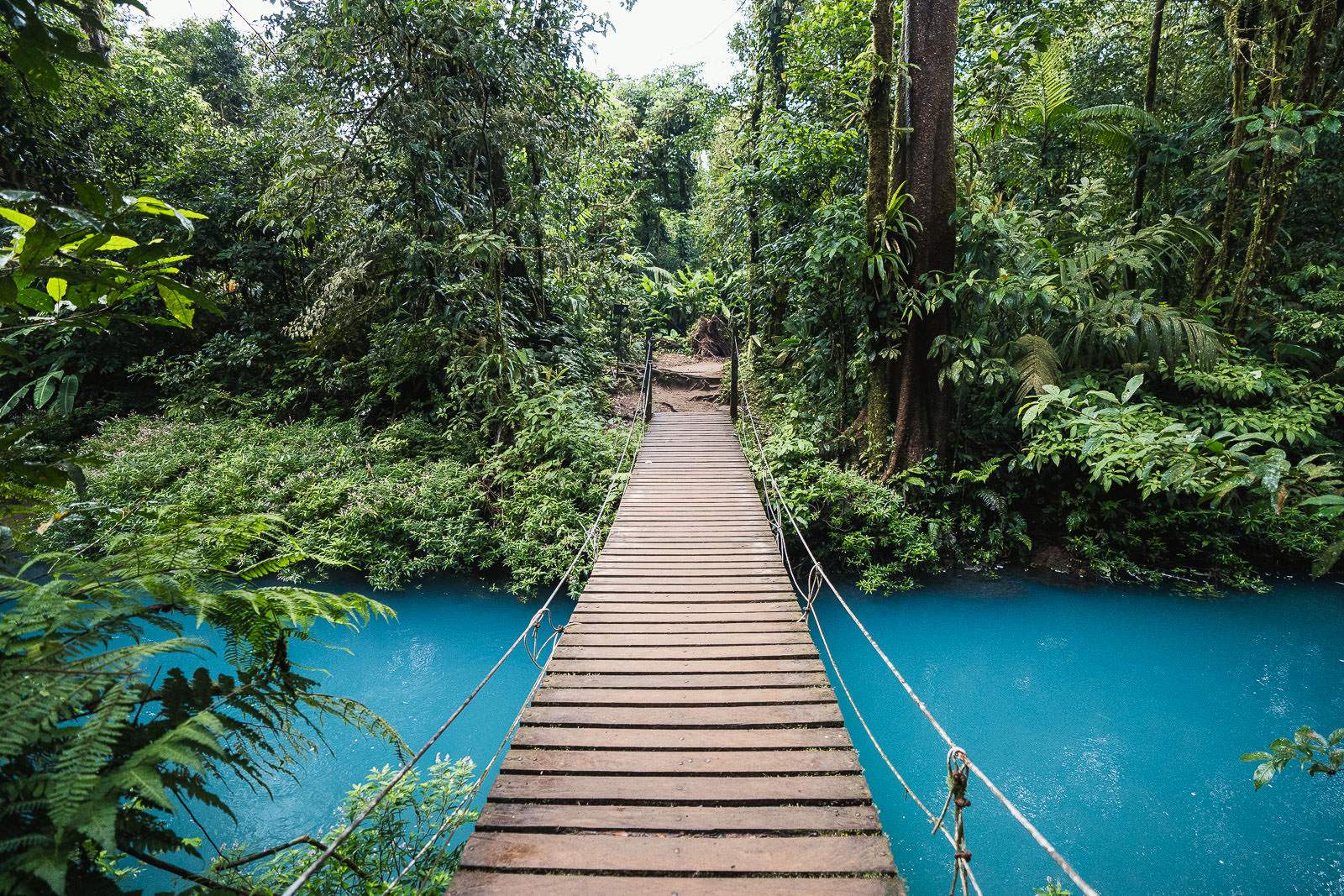 costa rica fotografie 44