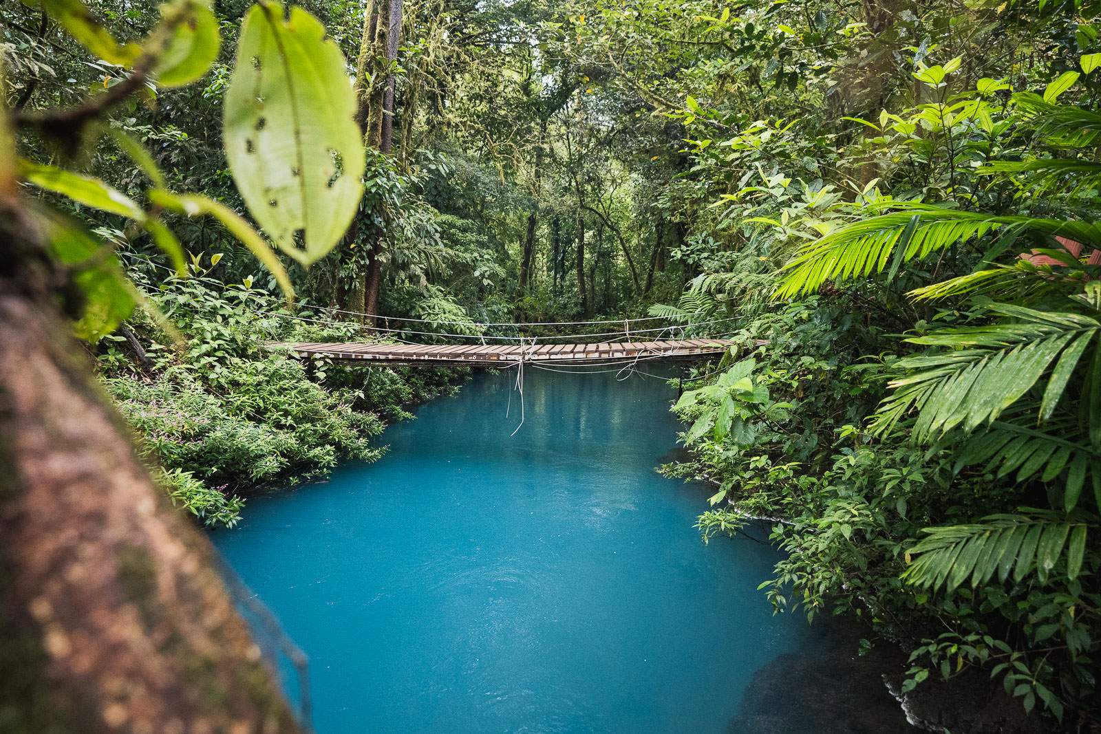 costa rica fotografie 45