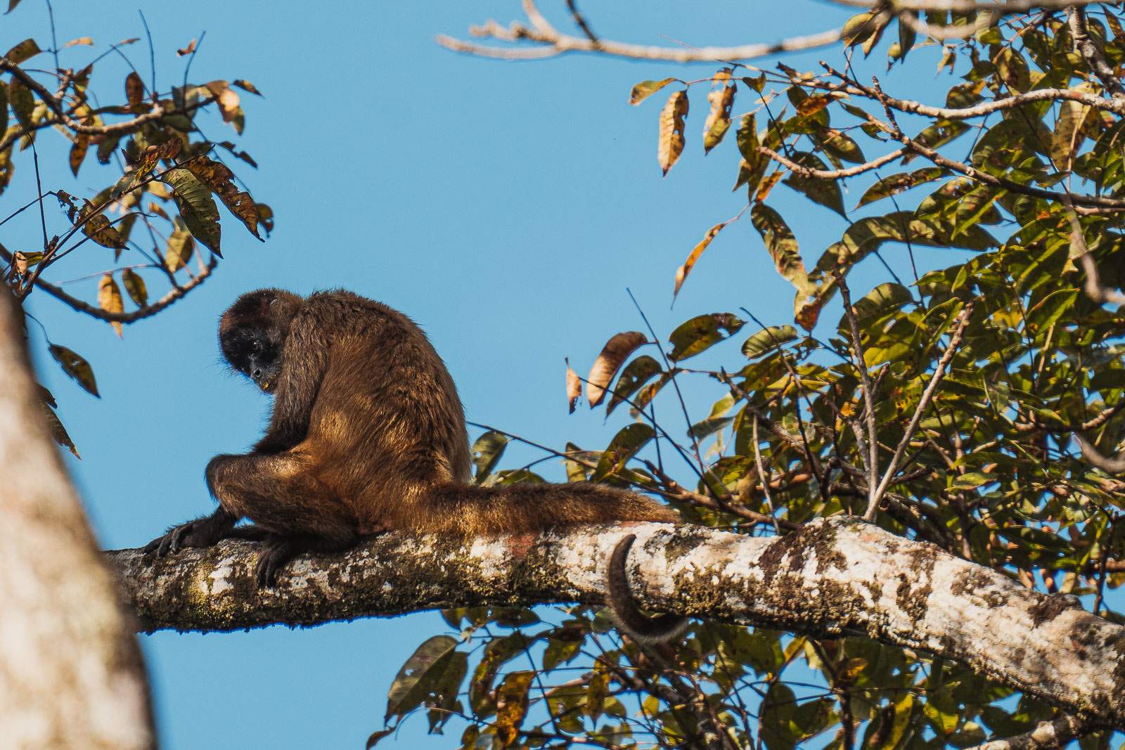 costa rica fotografie 5
