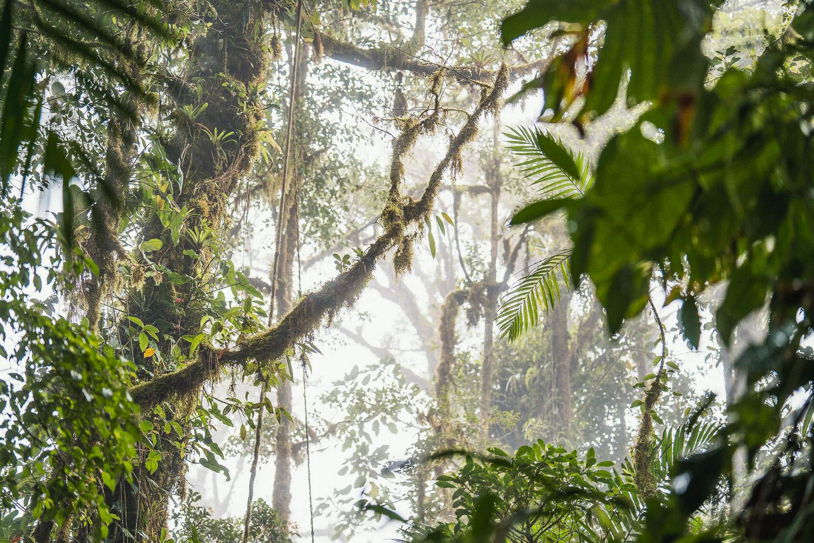 costa rica fotografie 53