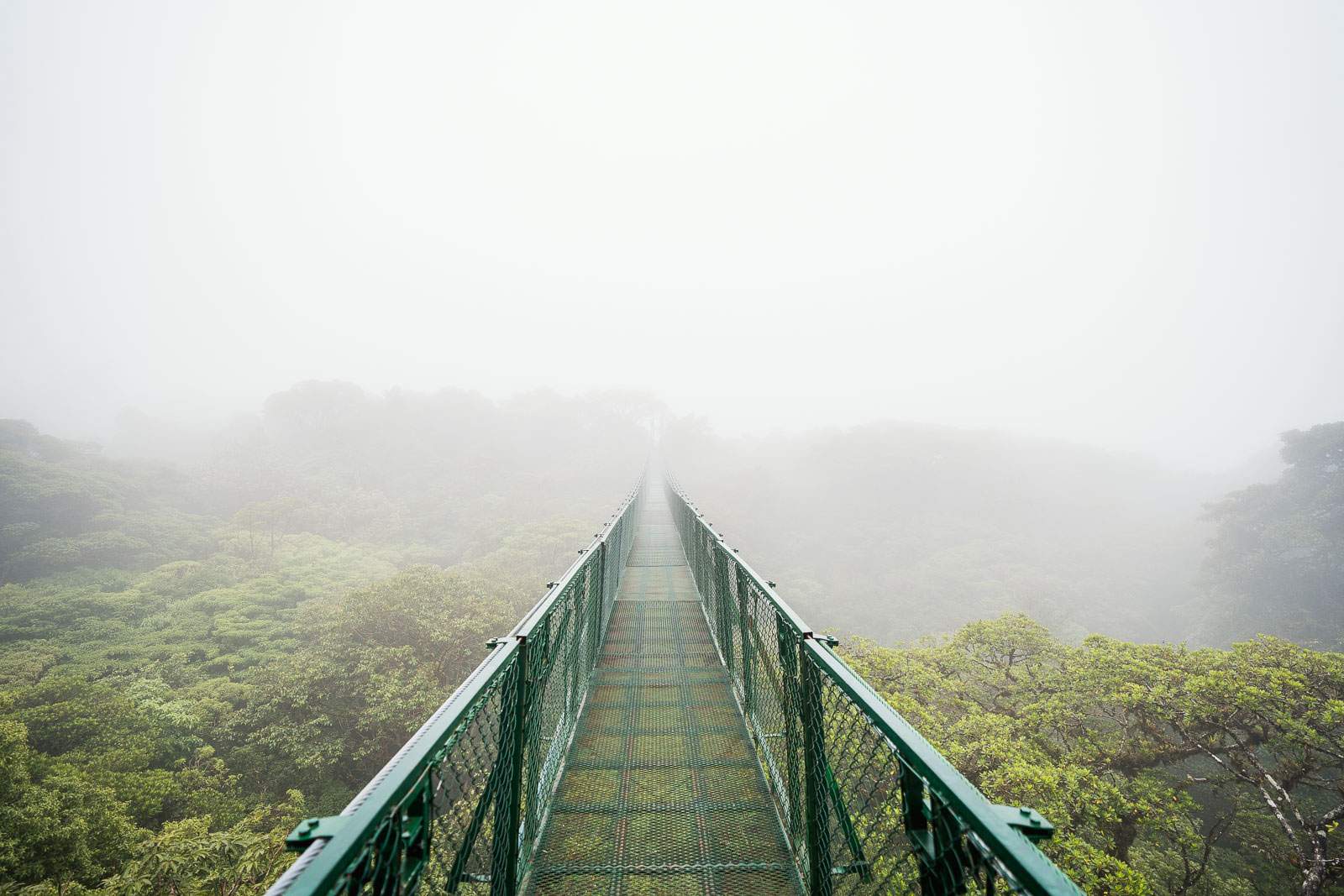 costa rica fotografie 54