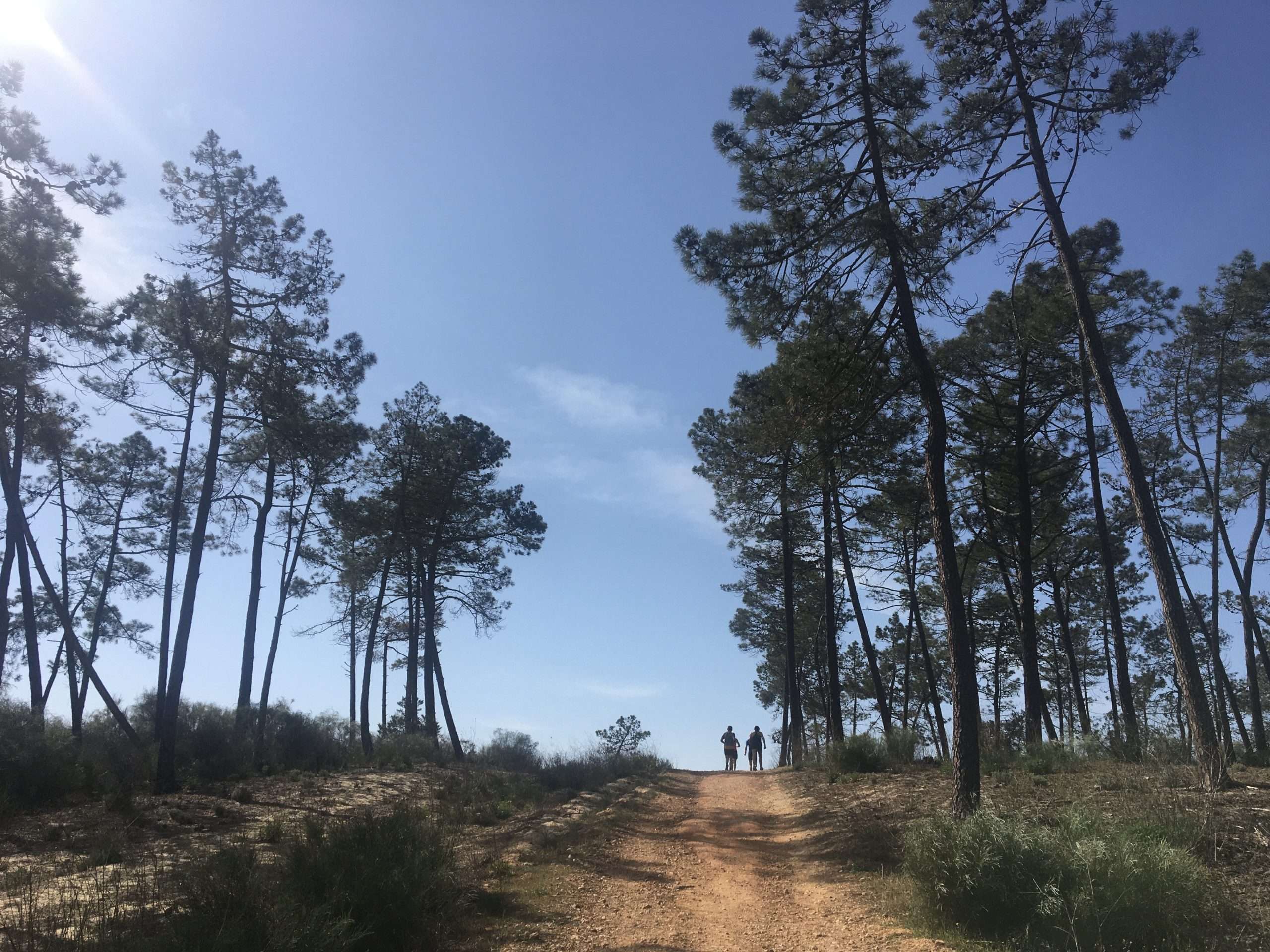 Opel Running Camp 2020 Monte Gordo 94