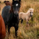 10 Extratour Rotes Moor