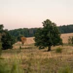 11 Extratour Rotes Moor
