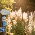 22 Extratour Rotes Moor