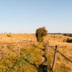 25 Extratour Rotes Moor