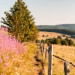 28 Extratour Rotes Moor