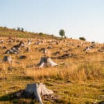 29 Extratour Rotes Moor