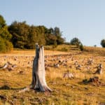 30 Extratour Rotes Moor