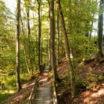 38 Extratour Rotes Moor
