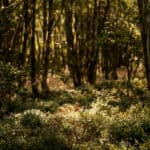 46 Extratour Rotes Moor