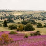53 Extratour Rotes Moor