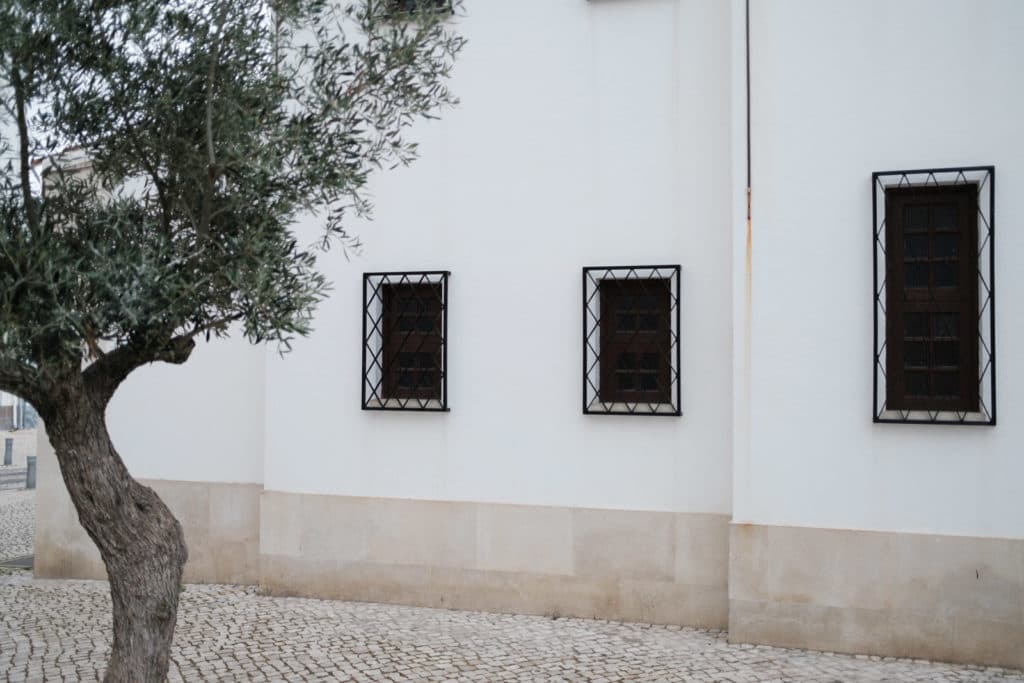 fuji x100v review bilder 020