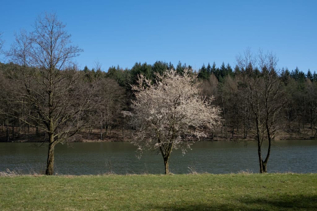 fuji x100v review bilder 028