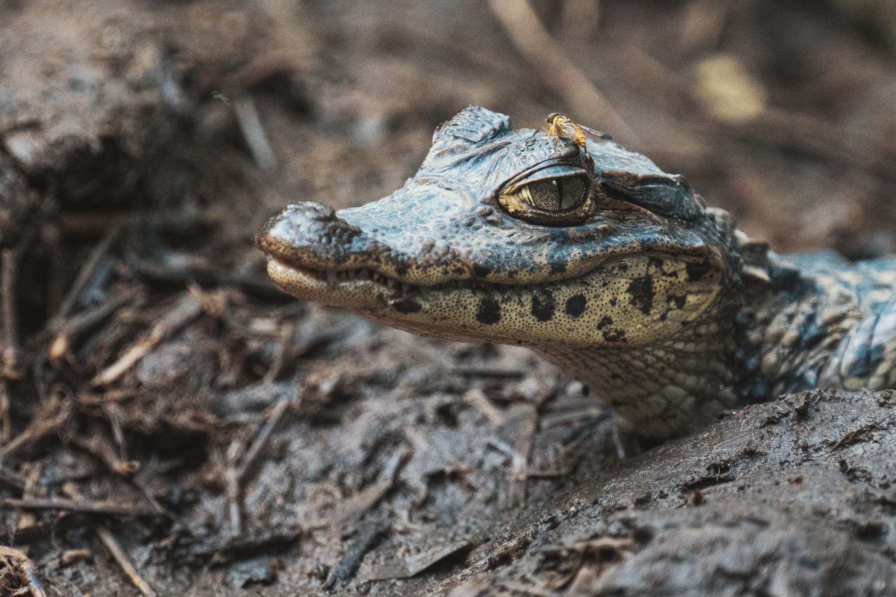 fotograf auf weltreise 006