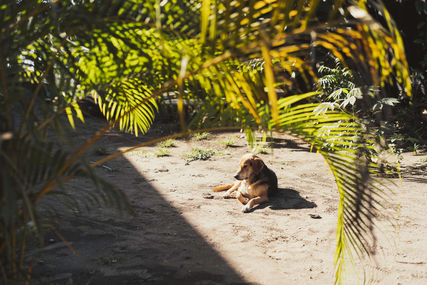 fotograf auf weltreise 009