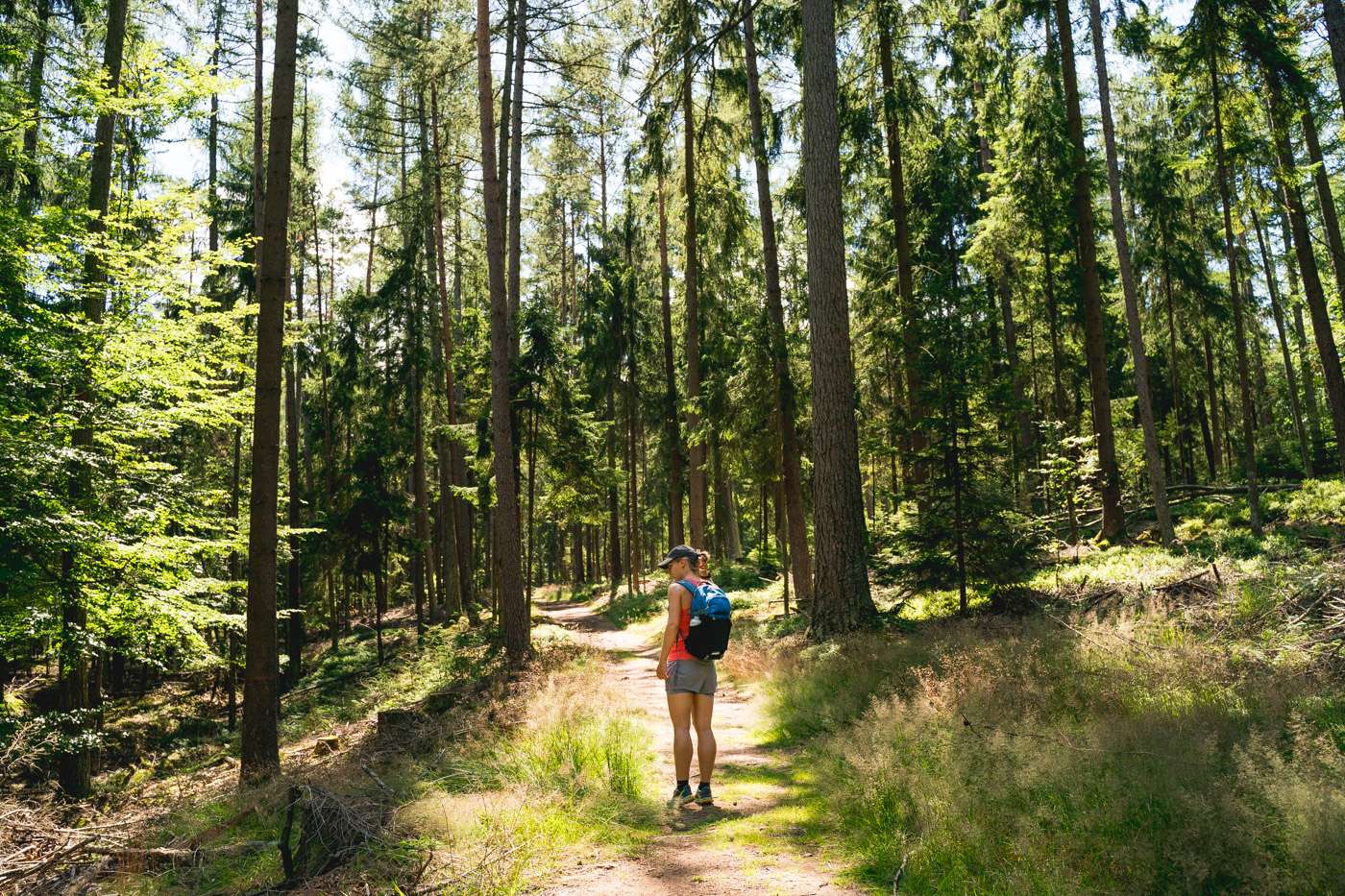 Test zum Outdoor Fotorucksack Lowepro Photo Active BP 200 AW