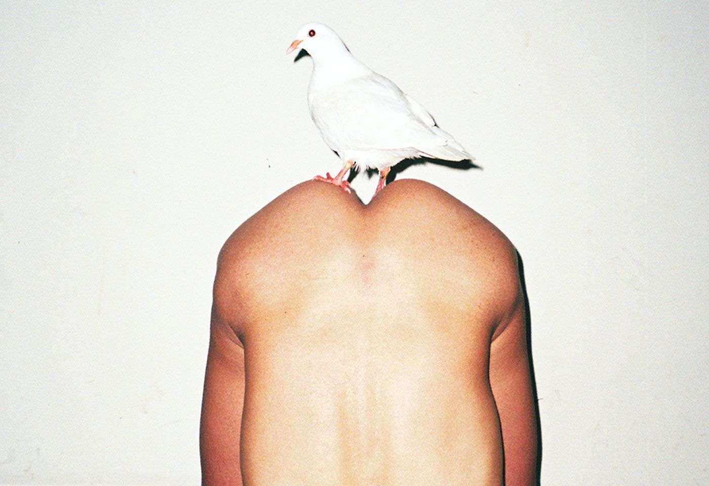 renhang titel