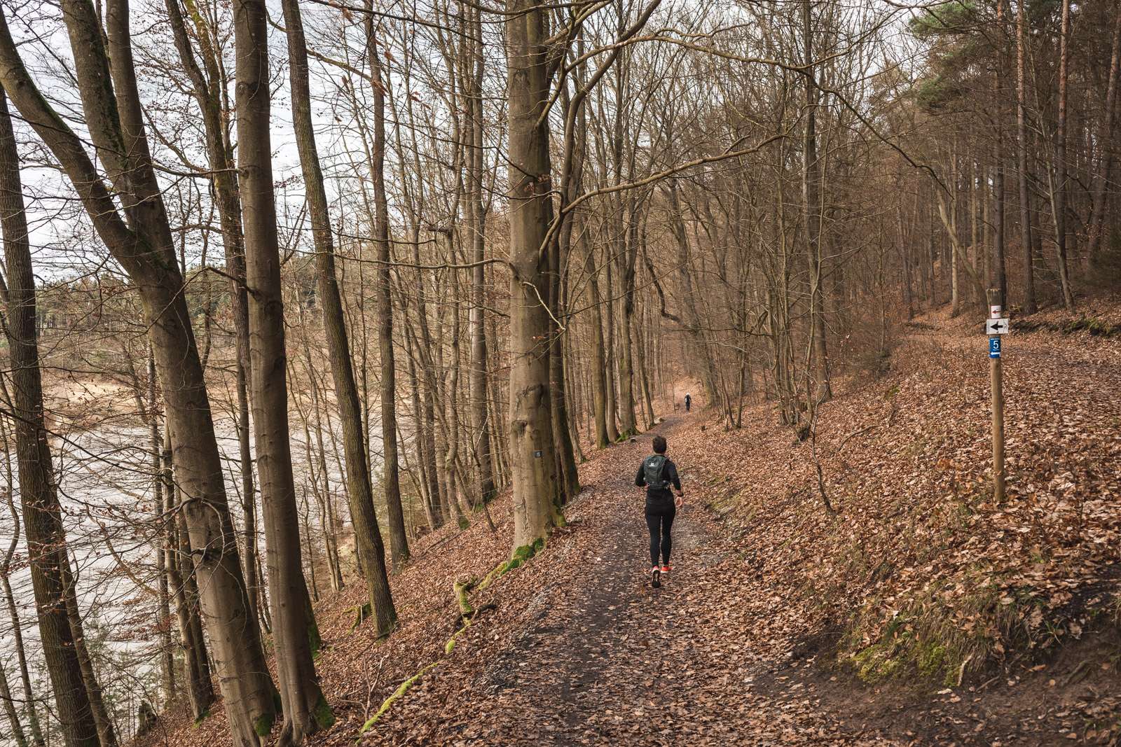 Laufen im Wald - Ricoh GR3