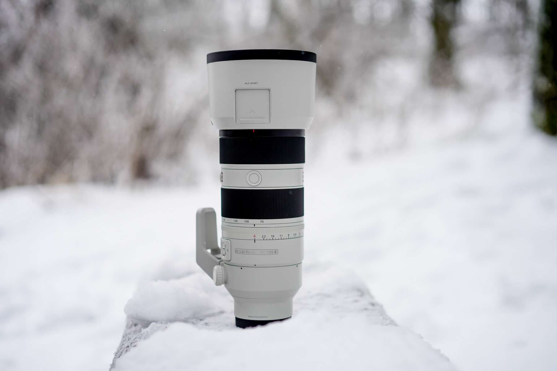 Sony 70-200 2.8 GM II Test – Sonys neues Tele Meisterwerk? (Update)