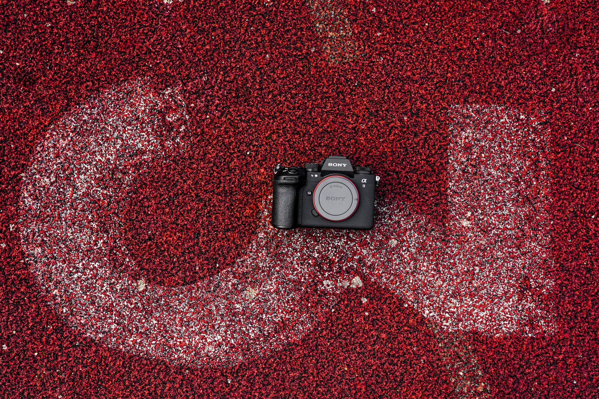 Sony Alpha 9 III Test – Meine Erfahrungen mit Sonys neuem Flagschiff