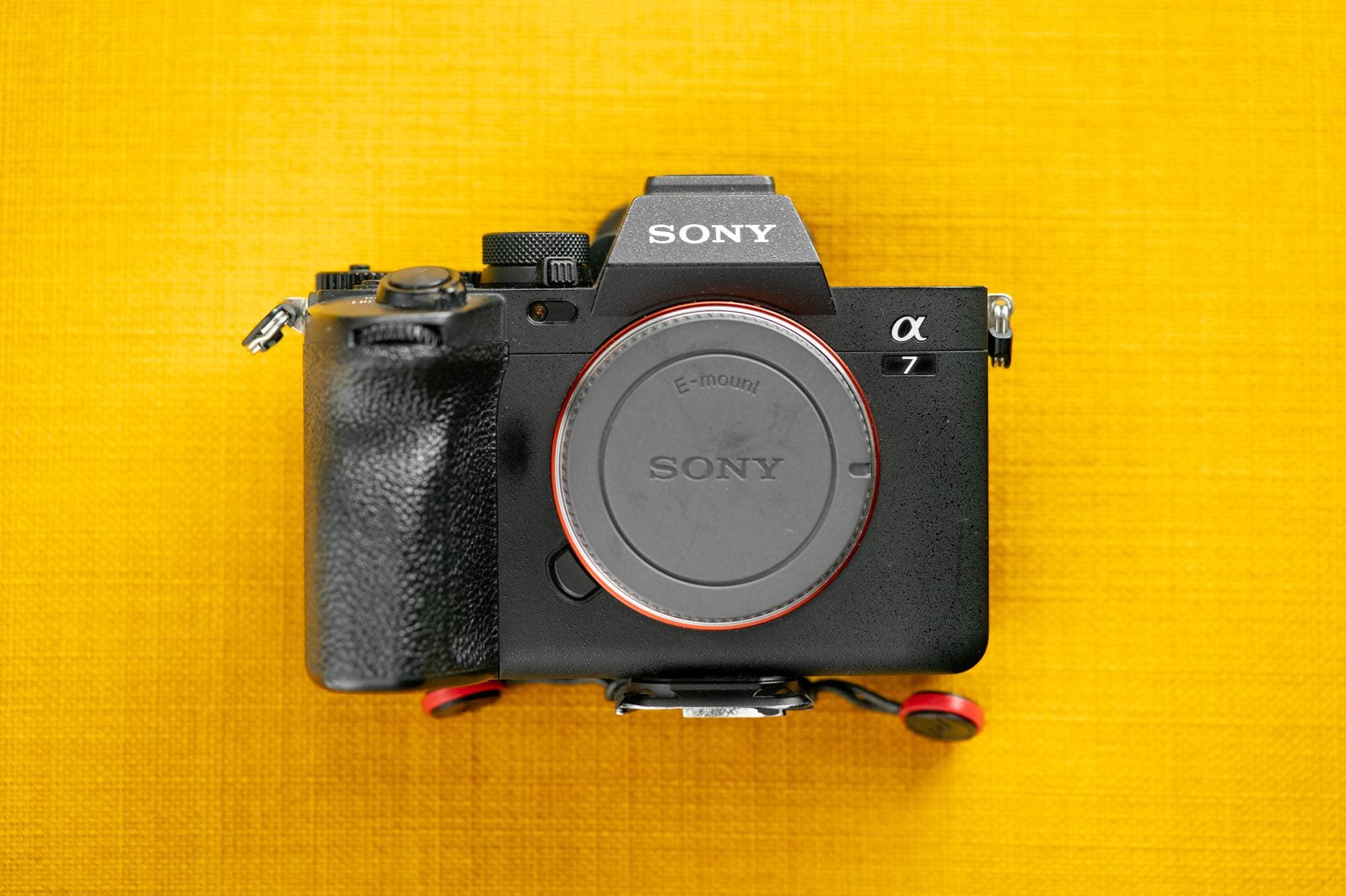 Sony Alpha 7 IV Test – Meine Meinung nach 1 Jahr