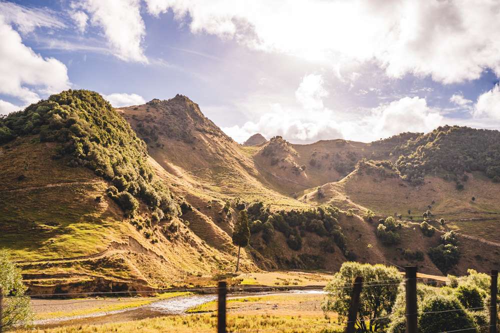 tamron 28 75 neuseeland 15