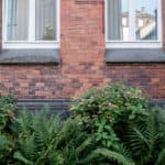 fotografie entspannung 4