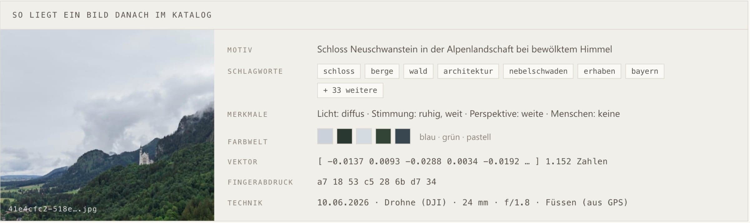 Schaubild aus meinem KI-Seminar: alles, was pro Bild automatisch abgespeichert wird, Beschreibung, Tags, Vektor, Fingerabdruck und Kurator-Achsen an einem Beispielbild visualisiert