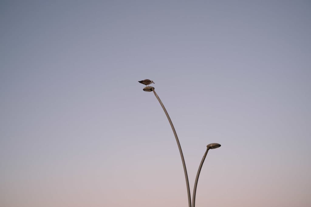 fuji x100v review bilder 018