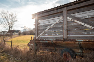 ricoh gr3 Holz auf einem Feld franke 018