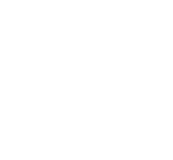 stefan franke logo white